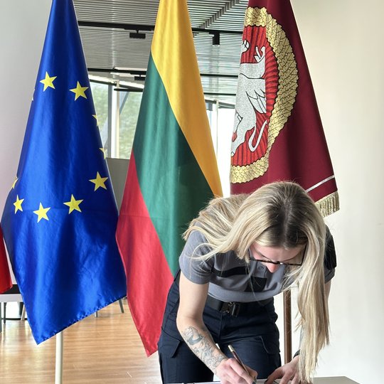 Iliustracija